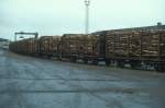 IERLAND sep 2001 ENNIS RONGEN WAGONS met hout lading
