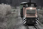 Entlang von Schilf zieht die kleine Diesellok ihren Holz-Zug nach Kraubath 30.11.2013  