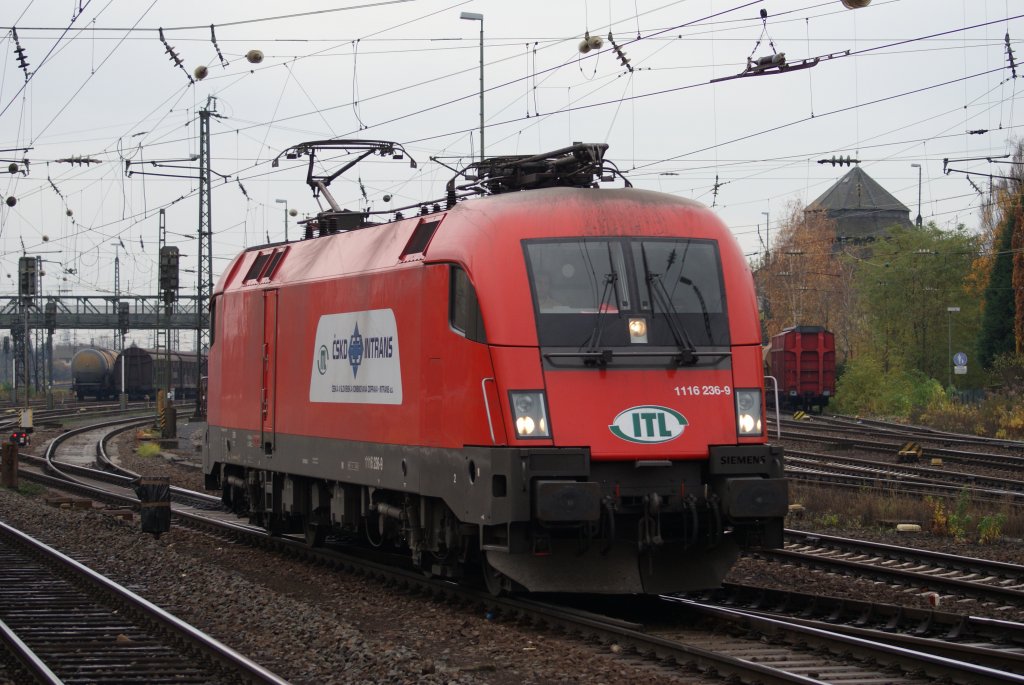 1116 236-9 (ITL) als Lz in Mainz-Bischofsheim am 14.11.2009
