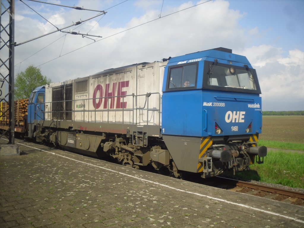 1460 in Holthusen am 24.5.10  