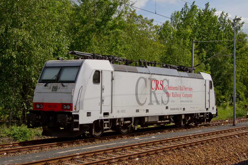 186 239 im Bahnhof Pirna. 23.05.2013