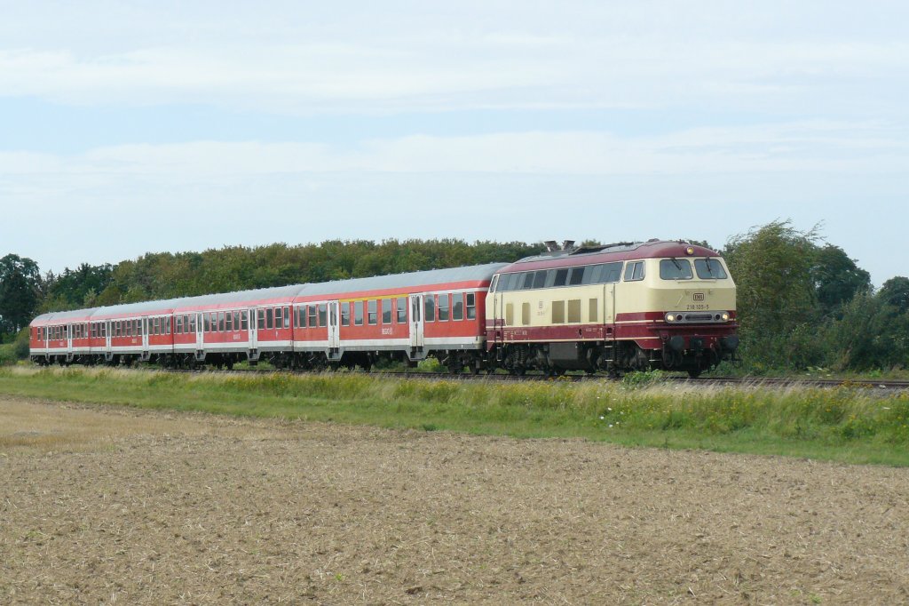 218 105 fhrt mit ihrer RB23 durch die Felder zwischen Rheinbach und Odendorf. (11.8.2011, 15:27 Uhr)