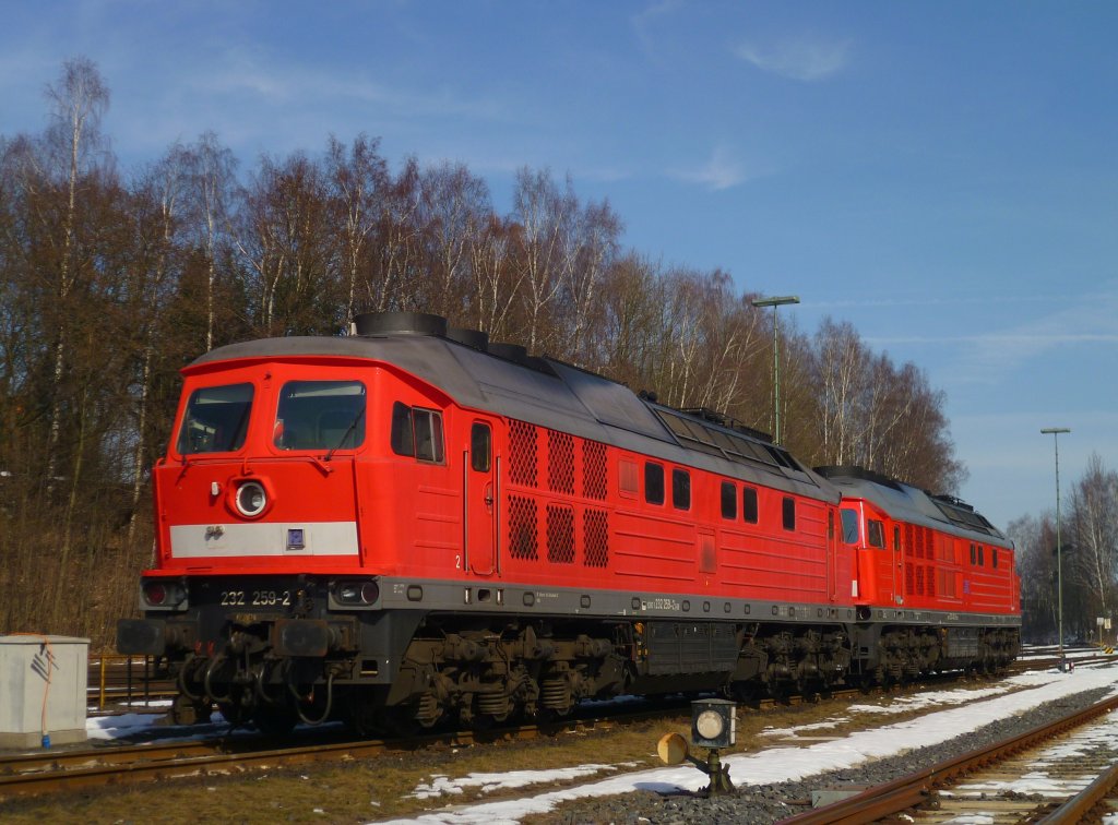 232 259 und 233 452 stehen am 06.03.13 in Marktredwitz.