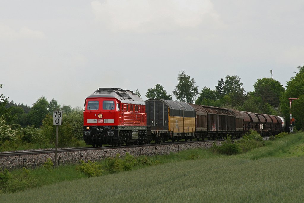 232 262 mit einem Umleiter Gterzug am 28.05.2010 bei Hiltersdorf.