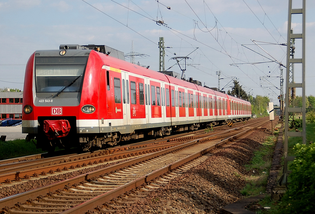 423 543-8 zwischen Nievenheim und Dormagen auf der S11 in Richtung Dsseldorf unterwegs am 17.4.2011.