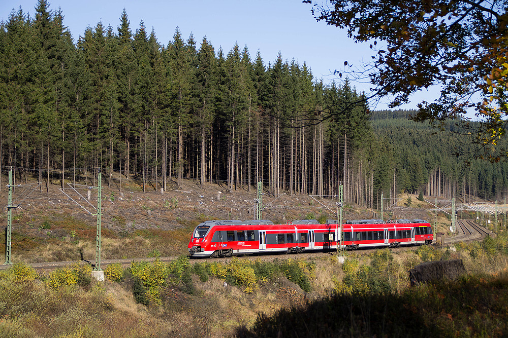 442 272 als RB 59350 nach Saalfeld (S) am 19.10.2012 bei Steinbach am Wald.