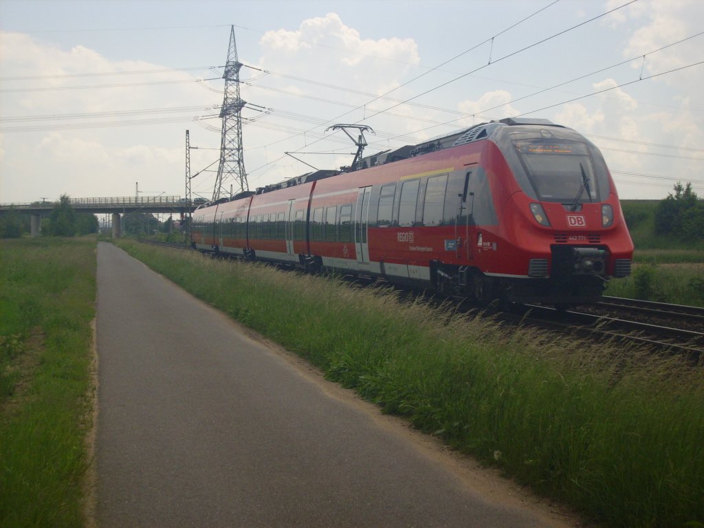 442 771 unterwegs zwischen Hallstadt und Kemmern bei Bamberg 08.06.2013