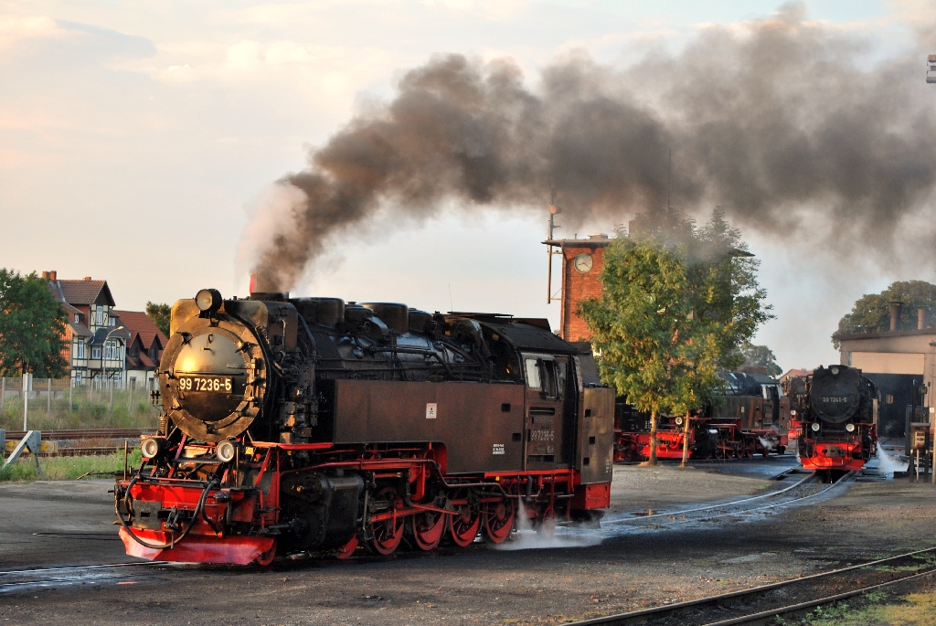 Abendstimmung im BW Wernigerode am 03.08.2010. Gleich kommt der letzte Zug (ein VT) und die Dampfloks werden fr den folgenden Tag vorbereitet. 99 7236-5 und 99 7241-5 sind als letzte eingerckt.