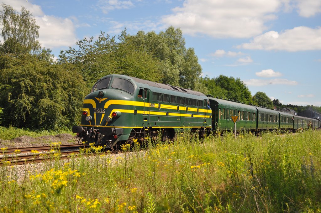 Am 26.06.2011 fanden Sonderfahrten mit Dampflok 29.013 und Nase 5404 von Charleroi Sud ausgehend statt. Hier kurz vor dem Bahnhof Berzee.