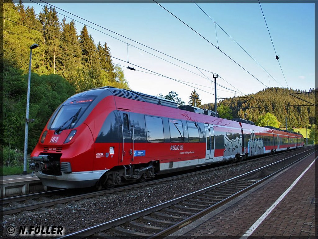 Auch die relativ neuen  Hamsterbacken  hat es schon erwischt. 442 309 mit  Bemalung 
am 18.05.2013 in Frtschendorf 