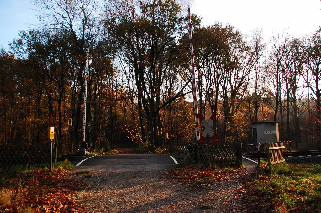Bahnbergang mitten im Wald bei Wegberg, er fhrt hier ber den Eisernen Rhein. 13.11.2011