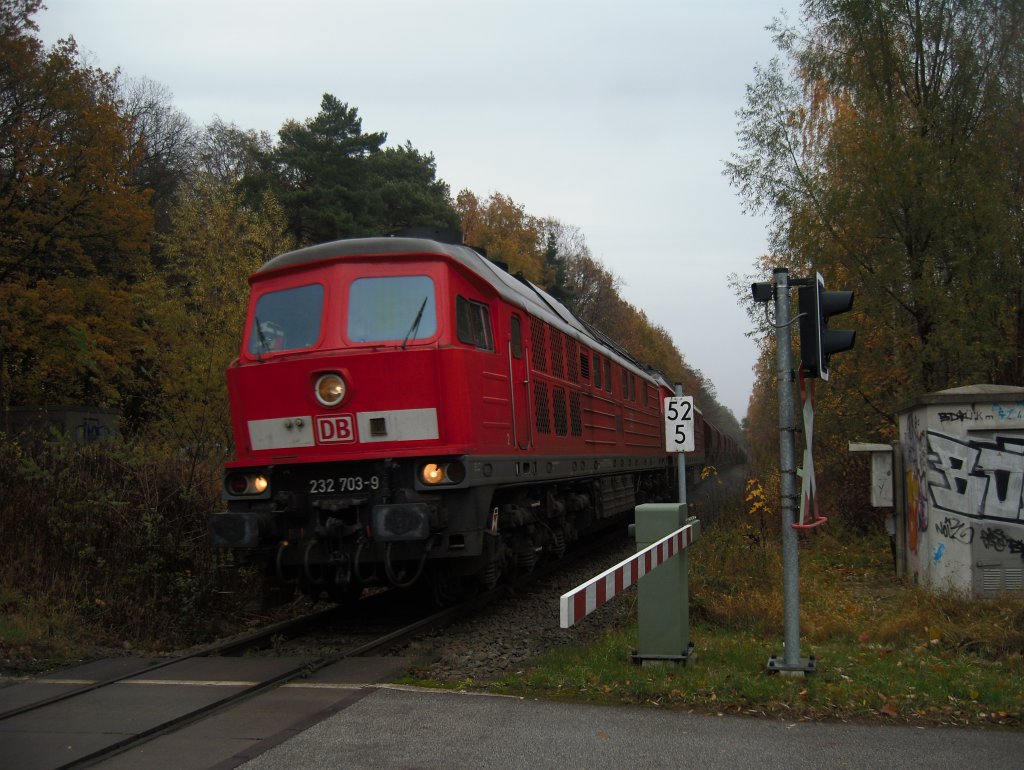 BR 232 703  Ludmilla  ist in Doppel- und Sandwichtraktion von Rostock nach Wismar unterwegs. Wegen Gleiserneuerungen zwischen Wismar und Bad Kleinen wurden einige Gterzge ber Rostock umgeleitet. 
Hier am 13.11.09 am Bahnbergang Tannenweg