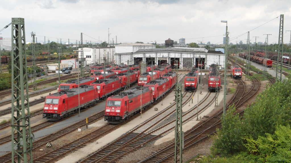 Bw Mannheim Rbf mit 26 E-Loks. (19.08.11)