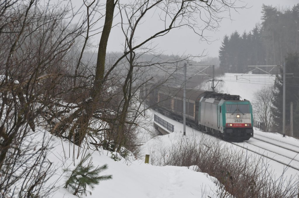 Cobra-Lok 2828 (186 220) zieht einen langen Gterzug ber die Montzenroute durch den verschneiten Wald bei Moresnet-Chapelle in Richtung Aachen-West. Aufgenommen am 31/12/2010.
