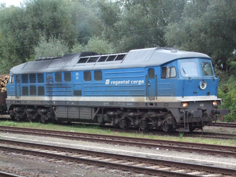 D06(ex231 012)fhrt momentan fr Osthannoversche Eisenbahnen AG(OHE)Sie stand am 12.10.2010 Fotofreundlich im Bahnhof 
Rostock-Bramow.(12.10.10)