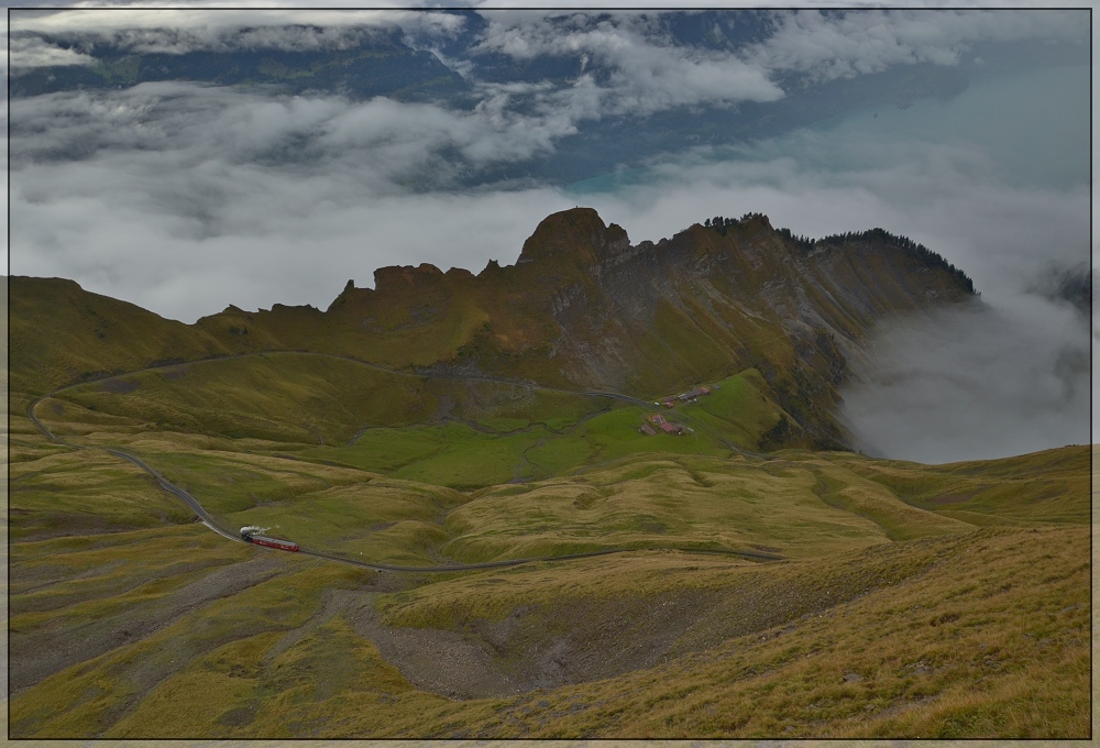 Das Bhnli muss gleich in den Nebel eintauchen bevor es die 1262 Meter  berwindet .
Oberstaffel, September 2012