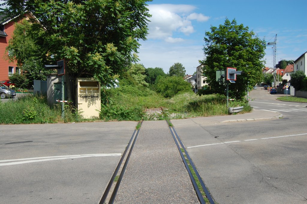  - die-bottwartalbahn-am-10-juni-604724