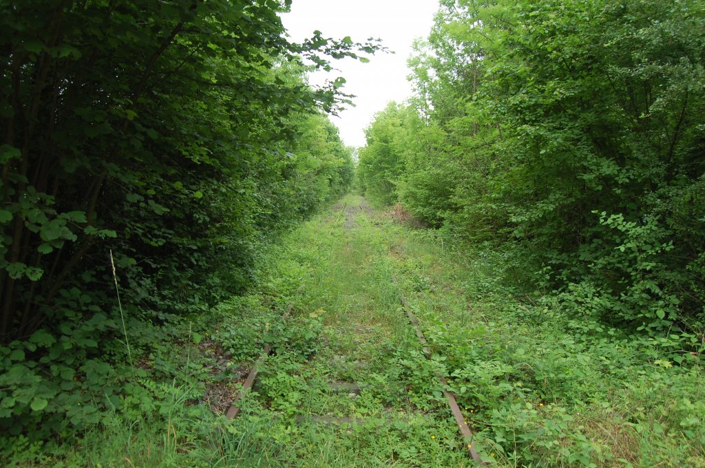 Die Bottwartalbahn am 7. Juni 2012 zwischen Marbach und Murr. Das Gleis endet ein paar hundert Meter weiter an einem Prellbock.
