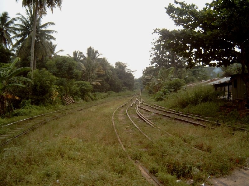Die Gleisanlage der Schnellbahn von Colombo nach Galle(Sri Lanka)
aufgenommen 4 Wochen vor dem Tsunami 2004.
Aufgenommen nahe dem Ort Betona.