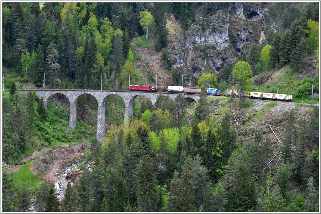 Ein paar Meter weiter folgt das Schmittnertobel-Viadukt, das dank der Rodungen wieder gut sichtbar ist. (22.05.2013)