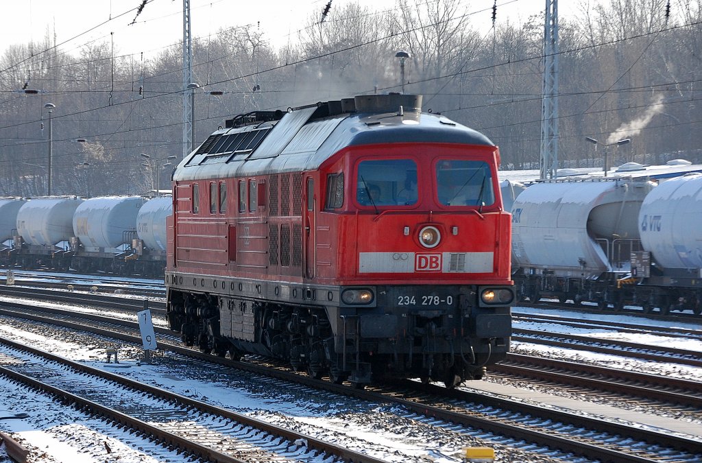 Eine Ludmilla bei -10� Grad Tagestemperatur in Berlin, nur ein