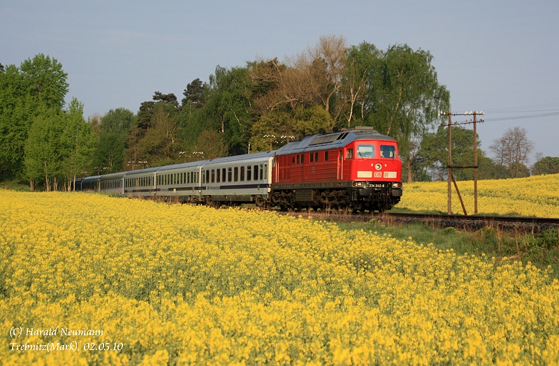 Es war mal wieder  Ostbahnumleiterzeit !Am Morgen des 02.05.10 durchstreift 234 242 mit dem EC41 Berlin Gesundbrunnen - Warszawa Centralna die Rapsfelder zwischen Trebnitz(Mark) und Altrosenthal auf ihrer Fahrt die sie bis ins polnische Kostrzyn fhren wird.