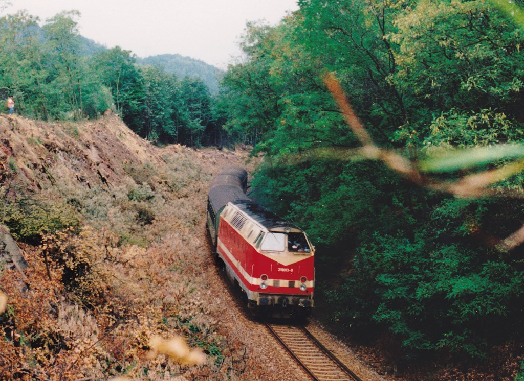 Im Einschnitt sdlich von Reschwitz waren am 20.8.92 schon deutliche Spuren vom bevorstehenden Wiederaufbau des zweiten Gleises zu sehen. 219 013 fuhr mit einem Personenzug Richtung Probstzella durch.