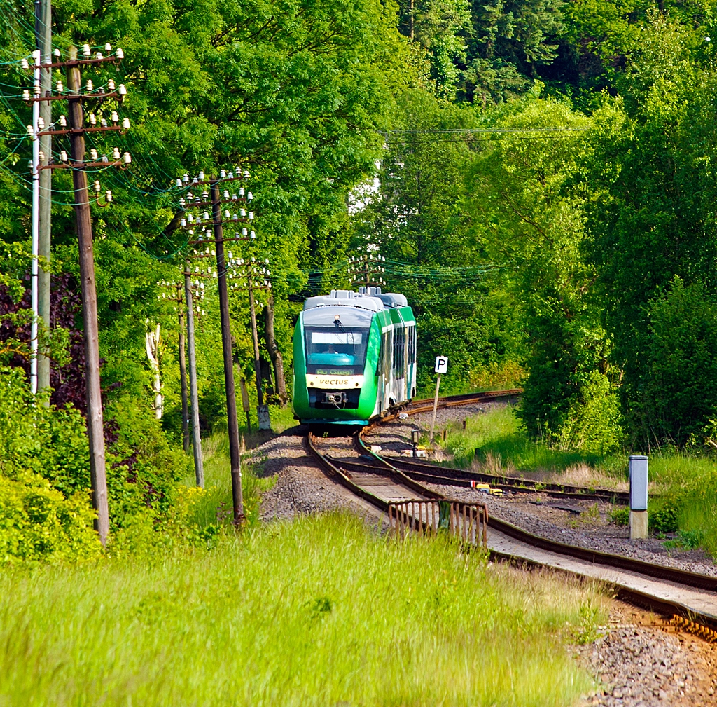 In den grnen Wldern des Westerwaldes....
Der VT 261 (95 80 0648 161-7/661-6 D-VCT) der vectus Verkehrsgesellschaft mbH am 04.06.2013 kurz vor der Einfahrt in den Bahnhof Nistertal / Bad Marienberg (frher Bf Erbach/Westerwald). 
Er fhrt als RB auf der Oberwesterwaldbahn (KBS 461) die Verbindung Limburg(Lahn) - Westerburg - Hachenburg - Altenkirchen - Au (Sieg).