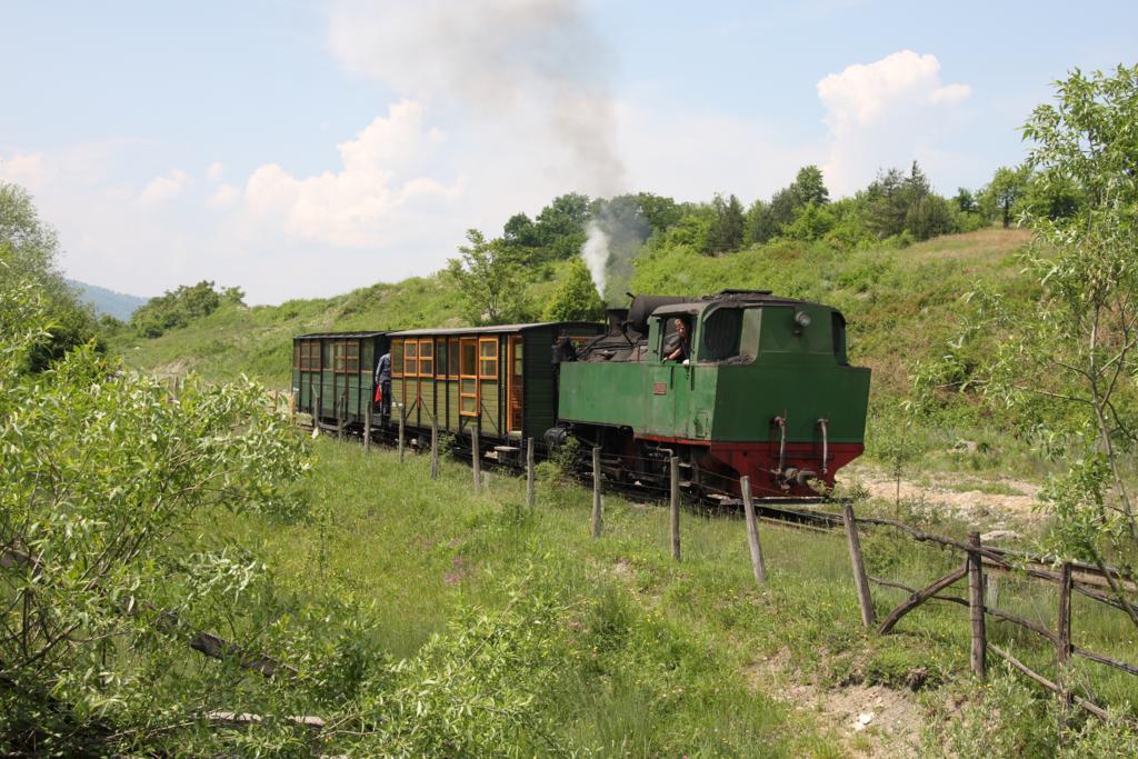 Kohlebahn Banovici - Sonderfahrt mit der am 21.5.2011 einzigen
im Betrieb befindlichen Dampflok 25-30- 