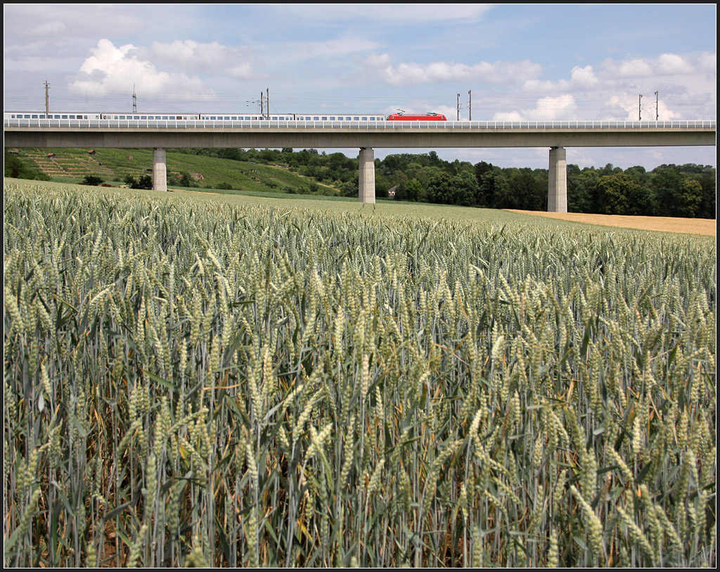 Landschaft mit Bahnbrücke - 

Enztalbrücke bei Enzweihingen, 

23.06.2011 (M)