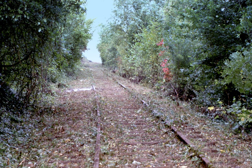 Luxemburg, Museumseisenbahn im Industrie- und Eisenbahnpark Fond-de-Gras. Der UERDINGEN und die Lok 8 konnten die Strecke erst befahren, nachdem  diese frei geschnitten  war. Scan eines Dias von 1972.