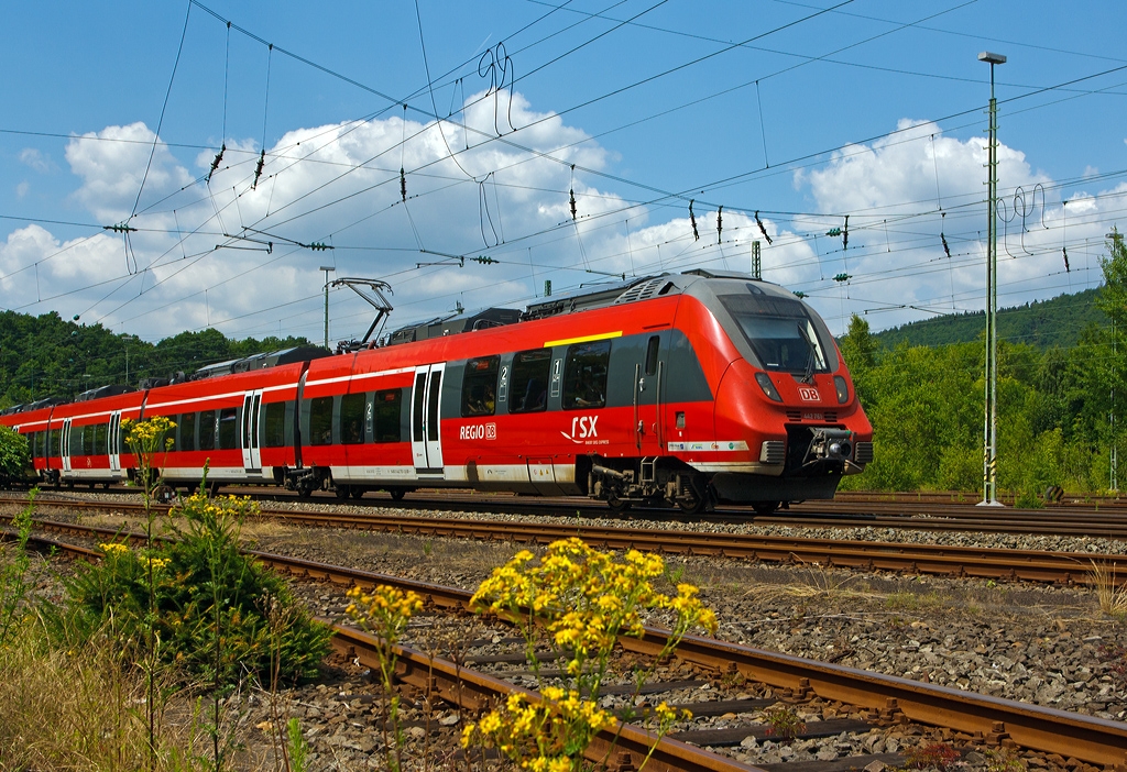 Mal ein anderes Hamsterbild - 
Der vierteilige  Bombardier Talent 2 (442 761 / 442 261) der DB Regio als RE 9 - Rhein Sieg Express (RSX) Aachen - Kln - Siegen erreicht gleich (am 06.07.2013) den Bahnhof Betzdorf/Sieg.