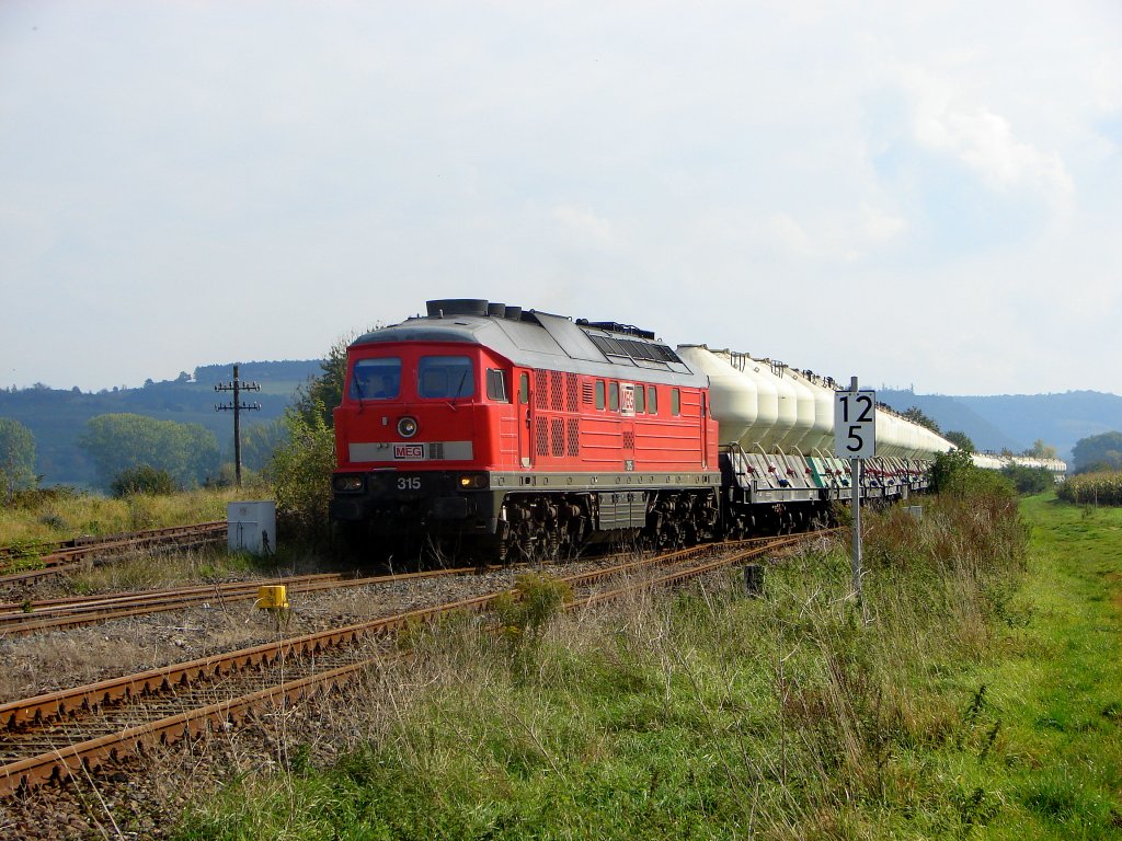 MEG 315 (232 489-5) mit einem Leerzementzug nach Karsdorf, bei der Einfahrt in Laucha (Unstrut). Das Bild hat mein Vater gemacht.; 07.10.2007