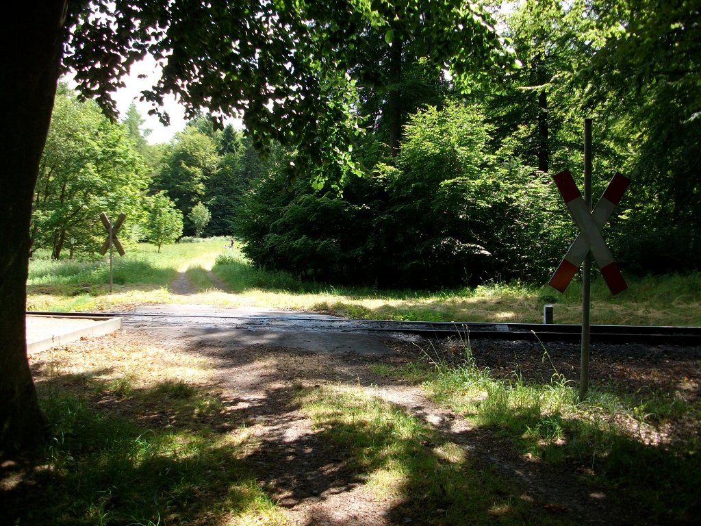 Mitten in der Granitz gibt es eine Vielzahl an unbeschrankten Bahnbergngen wo Wanderwege die Strecke des Rasenden Roland`s kreuzen und es immer schne Foto-und Filmmotive gibt.