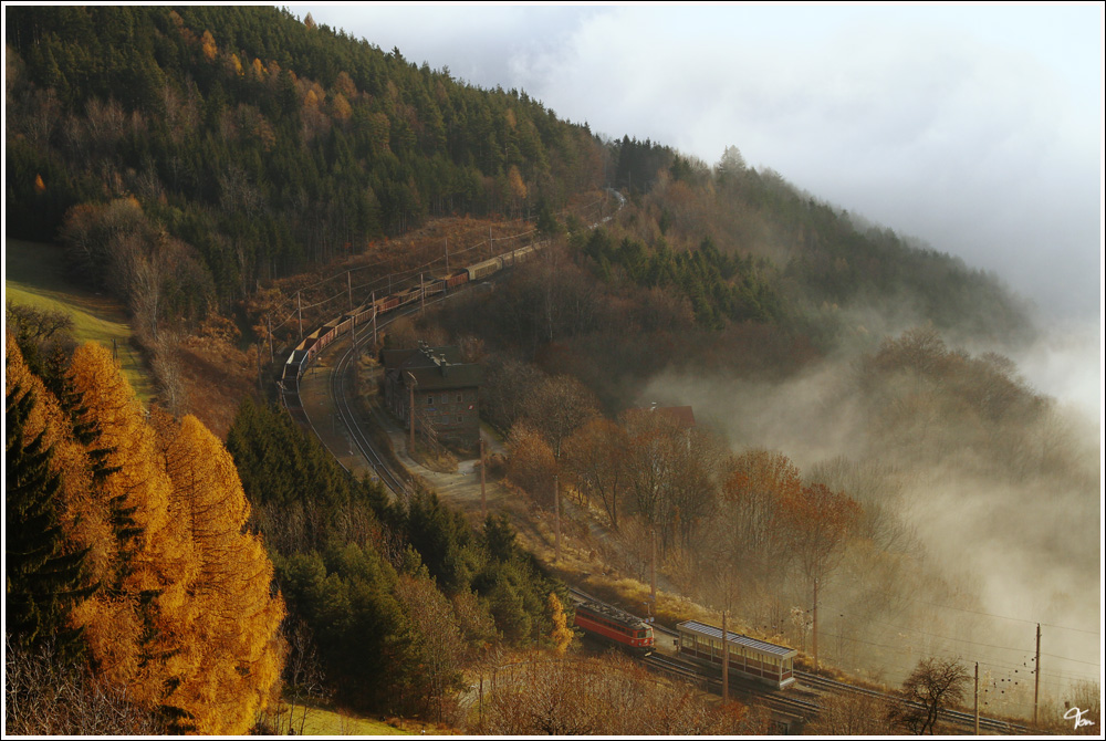 Nebel III - Durch den Bahnhof Klamm-Schottwien schiebt eine 1142 diesen Gterzug in Richtung Gloggnitz.  
2.12.2011