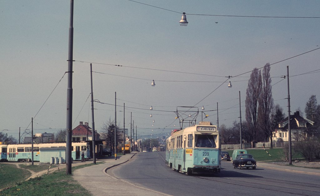 Oslo Oslo Sporveier SL 11 (Tw 239) Disen am 8. Mai 1971. - Links im Hintergrund hlt ein Zug der SL 2.