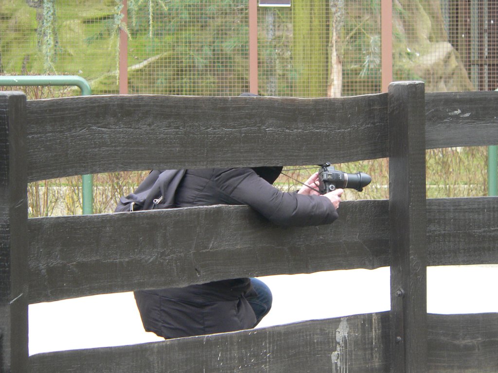 Promis und Züge haben es nicht einfach - kein Hindernis hält die Paparazzi davon ab, ein Foto zu schießen. Hier hat sich Jeanny angepirscht, um die Parkeisenbahn in einem Märchenpark zu fotografieren. 5.4.2013