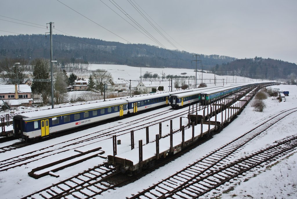 Rund 45 ausranigerte Personenwagen des Typs EWI/II (grne, New Look, NPZ) und Bpm51 stehen abgestellt in Etzwilen, 24.01.2013.