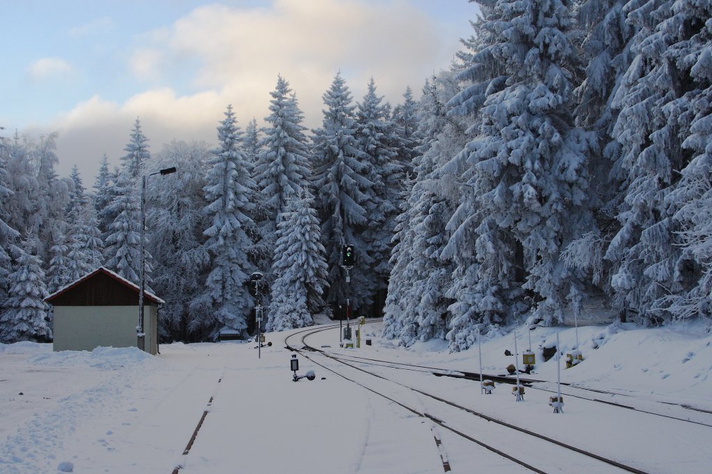 Schierke - Ein Wintermrchen! Das Bild zeigt die westliche Ausfahrt des Bahnhofes Schierke in Richtung Brocken am Nachmittag des 25.01.2013.