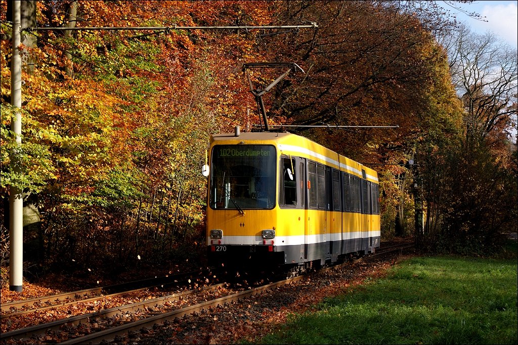 Tw 270 im Uhlenhorst (3. November 2009)