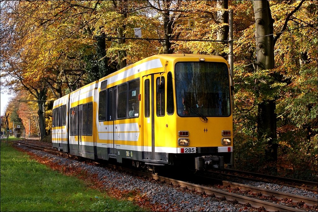 Tw 285 im Uhlenhorst (3. November 2009)