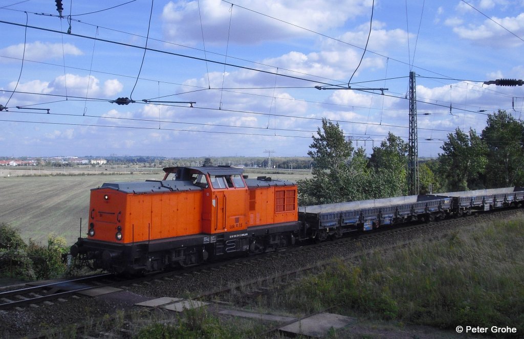 V 100.1 SKL Umschlagservice Magdeburg 202 219-2 vor Gterzug, fotografiert in Halle ( Saale ) am 20.09.2012, Die Lok wurde 1970 vom LEW  Hans Beimler  in Henningsdorf mit der Fab.-Nr. 12501 gebaut. --> DR 110 219-3 --> 1983 Umbau zu DR 112 219-1 --> ab 1994 DB 202 219-2 --> ab 2008 Redler-Service e. K. Lok 15, seit 2011 bei SKL Umschlagservice Magdeburg GmbH & Co. KG 