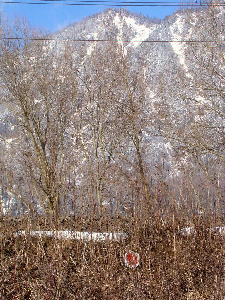 Verlorene Schlussignal.20.02.2010  