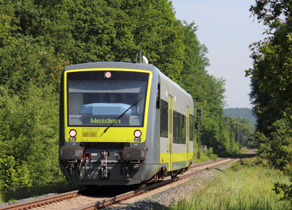 VT 650.738 Agilis bei Seehof am 24.06.2012.