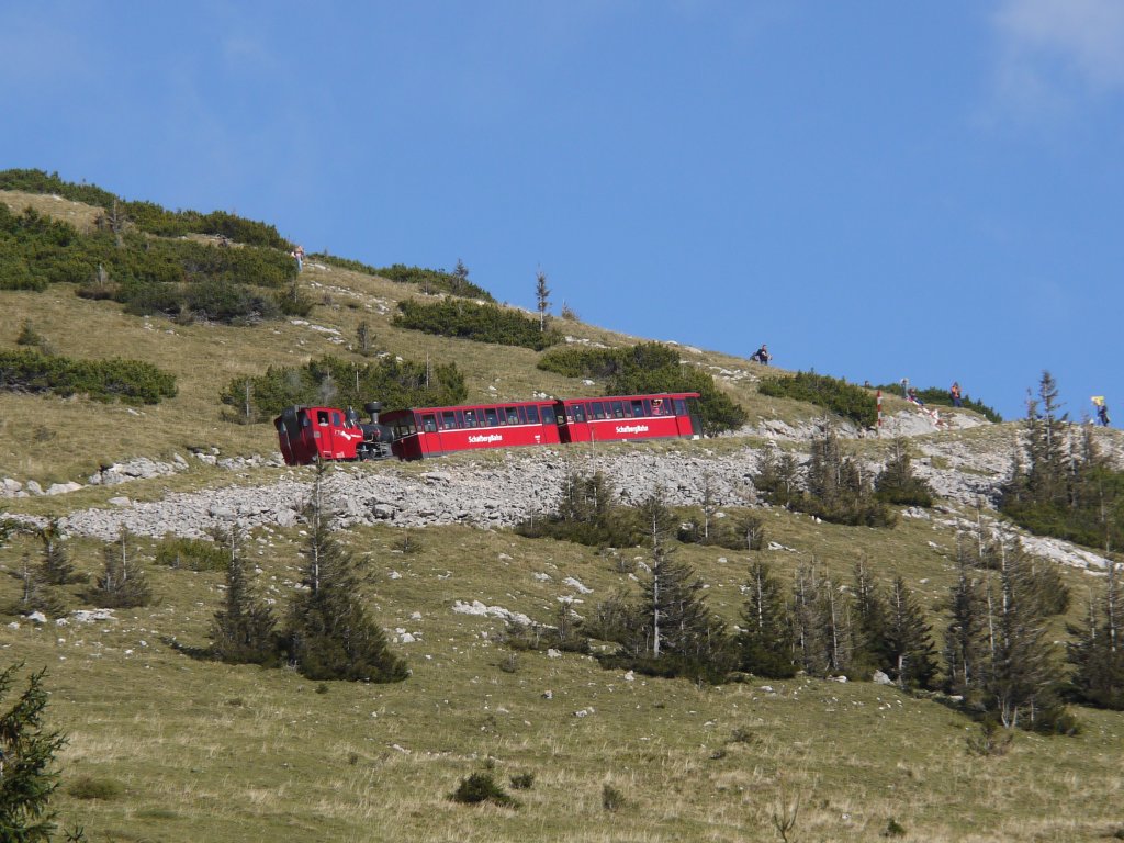 Zug der Schafbergbahn mit Lok Z11 auf Bergfahrt oberhalb der Schafbergalpe kurz vor dem Bahnbergang am Wanderweg; 12.10.2012

