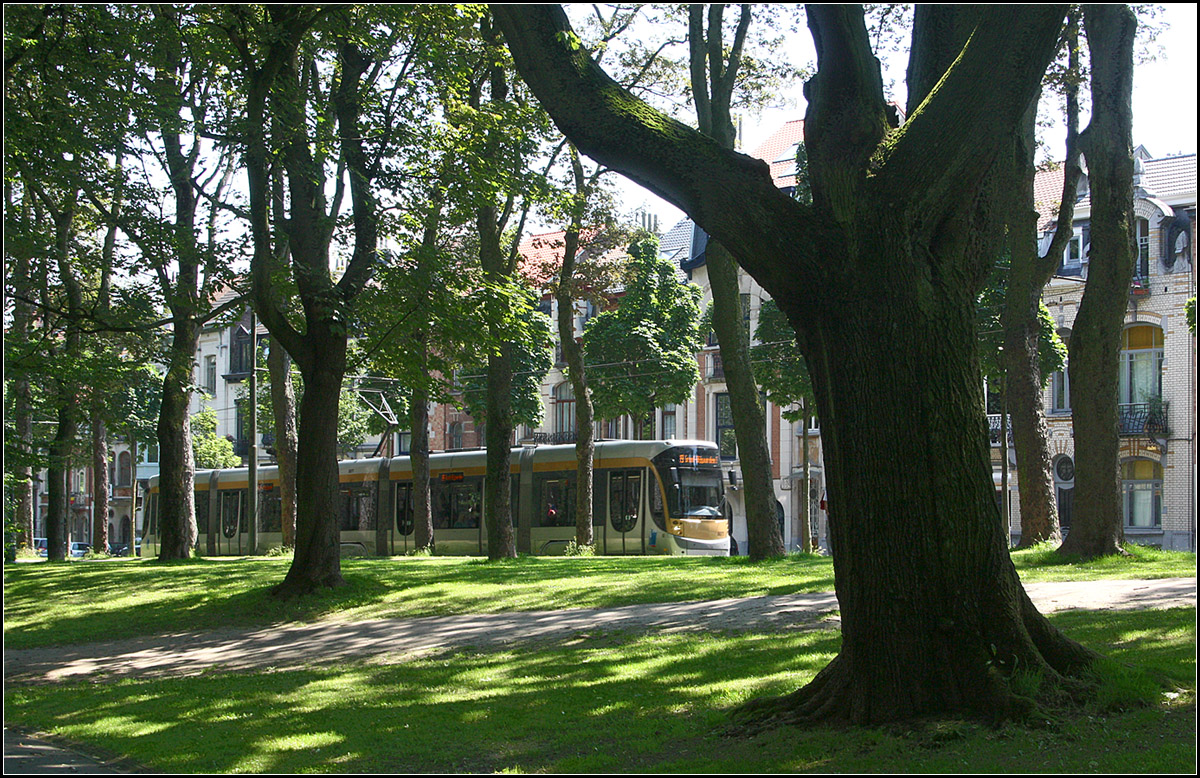 . Am Park entlang -

Am Elisabethpark in Koekelberg (Brüssel) fährt eine Flixity Outlook Tram auf der Linie 19 hinter den Parkbäumen eine sanfte Steigung hinauf.

23.06.2016 (M)
