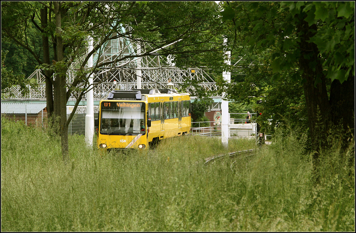 . Mit der Stadtbahn durch die Parkwiese -

Ein Zug der Linie U1 an der Haltestelle Mineralbäder in Stuttgart.

29.05.2016 (M)