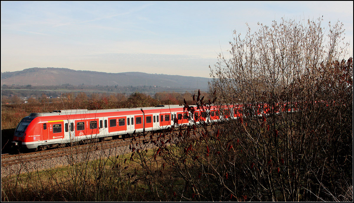 . Nach rechts zunehmende Verdeckung -

...aber der in der tiefstehenden Dezembersonne leuchtende S-Bahnzug kämpft dagegen ganz gut an. Im Remstal an der S2 zwischen Weinstadt-Endersbach und Rommelshausen.

01.12.2016 (M)

