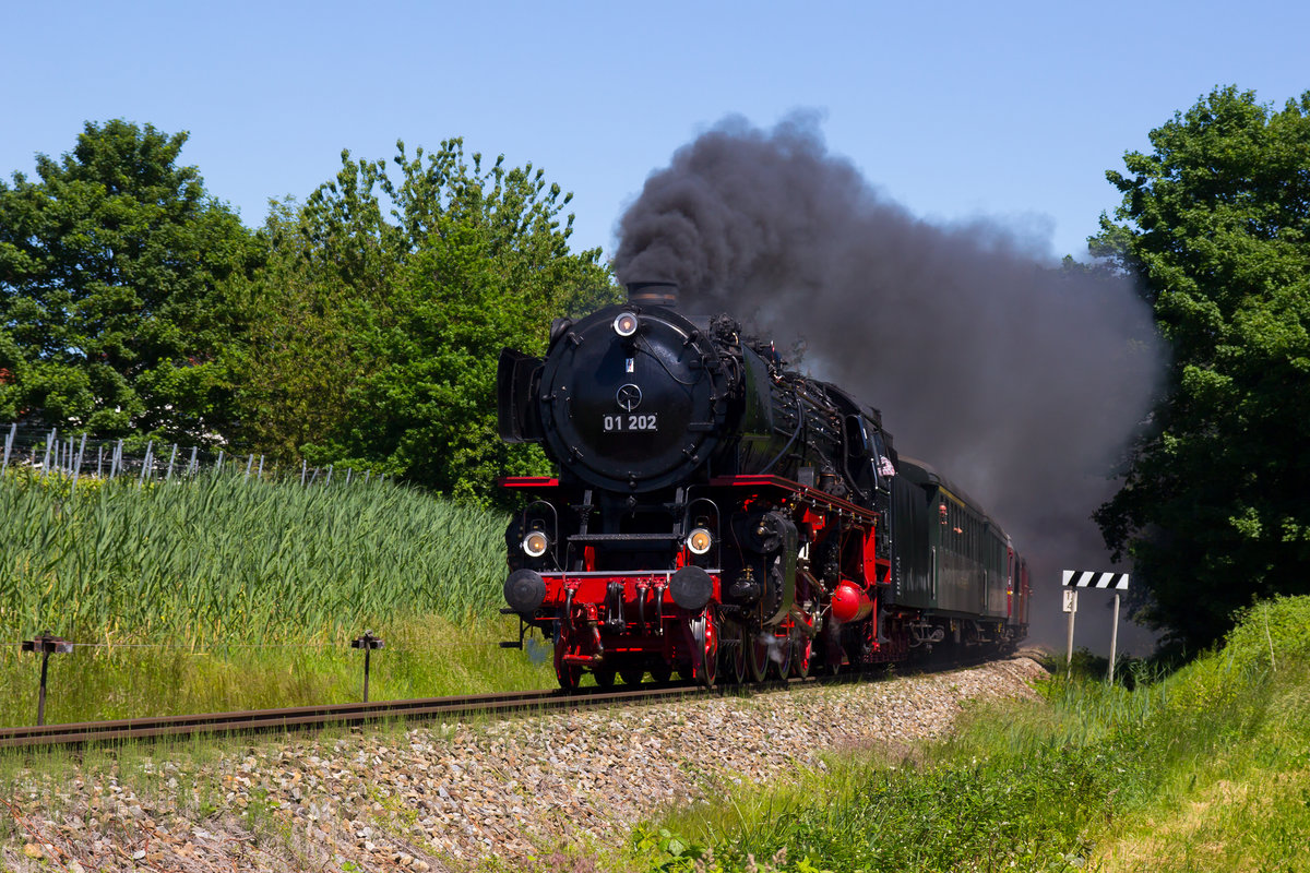 01 202 auf dem Weg von Lindau Hbf nach Friedrichshafen. Aufgenommen kurz vor Nonnenhorn am 26.5.17