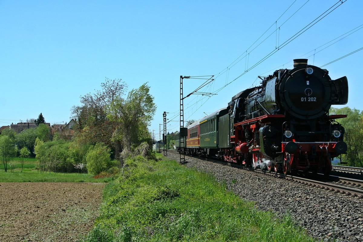 01 202 mit dem DPE 5953 von Lyss nach Neustadt an der Weinstraße am 05.05.16 bei Scherzingen.